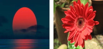 A example of semantic gap problem: computers cannot distinguish a red flower from rising sun in terms of colour and texture